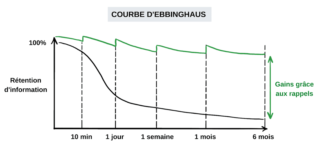 Courbe de l'oubli